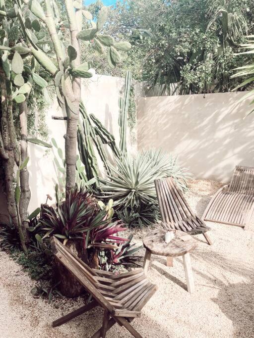 Hotel Boutique Kaa Merida Exterior photo